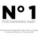 L Or al Paris Hair Expertise Total Repair 5 Shampoo For Damaged Hair 591 mL Shampoo 591ml - Buy Online on GoSupps.com