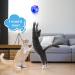 Ghost Hunting Cat Ball Toy - LED Light Interactive Pet Toy for Cats and Dogs - 6 Piece Set - Buy Online on GoSupps.com