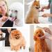 Stainless Steel Pet Comb | Detangling Tool for Dogs and Cats | Grooming Tool for Small, Medium, and Large Pets - Buy Online on GoSupps.com
