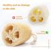 3 Pack Natural Loofah Sponges for Exfoliating Bath and Kitchen Cleaning - Buy Online on GoSupps.com