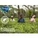 Tetley Specialty Tea Variety Pack - English Breakfast, Earl Grey, Mint, Decaf, Green Tea, Raspberry & Pomegranate - 90 Teabags - Buy Online on GoSupps.com