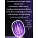Electric Bug Swatter Rechargeable Bug Zapper Mosquito Swat Electric Fly Swat for Indoor and Outdoor Use Rechargeable Mosquito Swat - 2000mAh Standing Handheld Dual Purpose - Buy Online on GoSupps.com