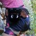 BG Climbing Bat Chalk Bag - Cool Animal Edition for Rock Climbing | International Shipping Available - Buy Online on GoSupps.com
