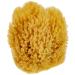 CROLL & DENECKE natural sponge natural 12 cm 1 piece (1 pack)