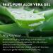 Aloe Up Sport Sunscreen Lotion SPF 50 and Aloe Ice Sunburn Relief Jelly - Bundle with Sun Screen Protector for Face and Body and After Sun Gel - With Pure Aloe Vera Gel - Reef Friendly - 2 Items - Buy Online on GoSupps.com