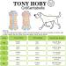 Tony Hoby Dog Suit for Men & Women | Striped Cotton Overall for XS Dogs - Cozy Sleepwear in Green & Blue - Buy Online on GoSupps.com