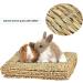Roadloo Small Pet Grass Mat - 4 Edible Natural Grass Mats for Rabbits Guinea Pigs Rats Parrots & Ferrets | Safe & Fun Animal Toy - Buy Online on GoSupps.com