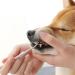 Symphony Calculus Stainless Steel Dog Grooming Remover - Pack of 2 (4 Pieces) | Effective Pet Care Tool for Home & International Shipping - Buy Online on GoSupps.com