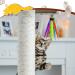Shop Rosaui 14 Pack Catangel Replacement Springs - Colorful Interactive Cat Toys with Bells - Perfect for Playtime & Accessories - Buy Online on GoSupps.com