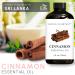 Brooklyn Botany Cinnamon & Cedarwood Essential Oils 4 Fl Oz (Pack of 2) 100% Pure & Natural Grounding & Warming Aromatherapy Blend - Buy Online on GoSupps.com