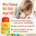 HUJ DHA 100mg - Kids DHA Supplemnent - Algal Oil - Contain DHA Phosphatidyserine & GABA - Supports Mental Energy Visual Function Memory and Focus* - 60 Softgels - Buy Online on GoSupps.com