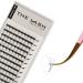 THE LASH SUPPLY 120 Fans 5D Premade Fan Eyelash Extensions C/D Curl Mix Length 9-15mm 0.07 Thickness 12 Lines Volume Lash Extensions Natural and Long-lasting Curl Mix Pack 5D-0.07-C Mix(9mm to 15mm)