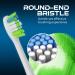 AYAITEE Replacement Brush Heads Compatible with Philips Sonicare 7900 Toothbrush fit DiamondClean 9000 ProtectiveClean 4300-16 Pack Toothbrush Heads White White 1 count (Pack of 16) - Buy Online on GoSupps.com