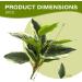 2 Bouquets Artificial Hostas 17.71in Tall Realistic Fake Dieffenbachia with 14 Leaves Low-Maintenance Indoor Aesthetic Artificial Greenery for Wedding Garden Home Office Decor Fake Plants - Buy Online on GoSupps.com