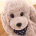 Heionia Teddy Dog Plush Toy - Kawaii Cuddly Pudel with Scarf | 20cm Gray Dog Gift for Kids & Girls | International Shipping Available - Buy Online on GoSupps.com