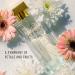 HVNLY Pleasure Eau De Parfum For Women | Long Lasting Premium Fruity Floral Perfume With Notes Of Cherry Strawberry Patchouli | Best For Office Wear Casual Wear |3.4 oz (Pack of 1) Pleasure 3.38 Fl Oz (Pack of 1) - Buy Online on GoSupps.com
