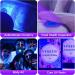 Vansky 51 LED UV Flashlight Black Light for Pet Urine Detection & Bed Bug Inspection - Buy Online on GoSupps.com