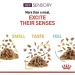 Royal Canin Sensory Feel In Jelly Wet Cat Food 12 x 85g Meat 12 count (Pack of 1) - Buy Online on GoSupps.com