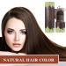 Hairline Shadow Powder Stick - Mocha Brown | Waterproof Root Touch Up Pen for Hair Filler and Cover Up - Buy Online on GoSupps.com