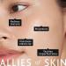 Allies of Skin Mandelic Pigmentation Corrector Night Serum 1oz - Exfoliating Serum with Mandelic, Lactic & Salicylic Acid, Hyaluronic Acid, Niacinamide, Bakuchiol, Rosehip & Tamanu Oils - Targets Uneven Skin Tone - Buy Online on GoSupps.com