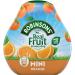 Robinsons Mini 2-Flavour Bundle - Apple & Blackcurrant, Orange - No Added Sugar, Low Calorie 4 x 66ml - Buy Online on GoSupps.com