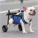 SNIME Adjustable Small Dog Wheelchair Small Dog Wheelchair for Back Legs Leg Brace Amp Hip Support Mobility Aid for Disabled Pets (Size : Extra Small) X-Small - Buy Online on GoSupps.com
