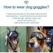 Large Breed Dog Goggles - Windproof & Snowproof Eye Protection for Outdoor Activities (Large) - Buy Online on GoSupps.com