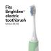 Brightline 86750 Replacement Brush Heads for 86700 Sonic Toothbrush - 4 Count, Compatible with Adjustable Intensity - Pack of 1 - Buy Online on GoSupps.com