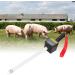 Ovulation Analyzer & Estrus Detector for Pig Breeding Equipment - Easy Cleaning | [Brand Name] - Buy Online on GoSupps.com
