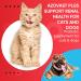 Azovast Plus Kidney Health Supplement for Dogs & Cats - Supports Kidney Function & Manages Renal Toxins - 120 Capsules - Made in USA - Buy Online on GoSupps.com