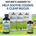 Mullein-X Throat Spray 2fl oz | Soothes Throat & Clears Mucus | Gluten-Free, Non-GMO, Vegetarian | Natural Peppermint Flavor - Buy Online on GoSupps.com