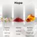 Coco-Chance-Inspired Diffuser Oil Refill - Scentia Hope Dupe Fragrance Oil Blend Home Luxury Scents Essential Oil Set for Aromatherapy Di?users Candle Making | 20 ml 0.67 Fl Oz Thanksgiving Gift Hope 0.67 Fl Oz (Pack of  - Buy Online on GoSupps.com