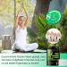 Buy Memonotry Detox Foot Pads - 100% Natural Detoxification for Deep Sleep & Stress Relief | 20 Pack - Buy Online on GoSupps.com