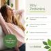 Hyperbiotics PRO-15: Advanced Strength Probiotic with Kiwifruit - 15 Billion CFU, 60 Time-Release Tablets - Buy Online on GoSupps.com