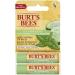 Burt's Bees Hydrating and Moisturizing Lip Balm Bundle | 100% Natural Lip Care - 4 Tubes Lip Balm+ Lip Balm Cucumber Mint - Buy Online on GoSupps.com
