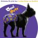 Buy Oouipets Dog & Cat Diapers (3 Pack) - Premium Washable No Leak Eco-Friendly - Size M (Purple) for Comfort & Absorbency - Buy Online on GoSupps.com