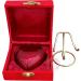 Red Heart Cremation Keepsake Urn with Brass Stand - Mini Pet Memorial - Buy Online on GoSupps.com
