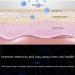 Terahertz Physiotherapy Device - Light Wave Impulse Massager for Home Use | Relieve Pain & Skin Issues | Fast International Shipping - Buy Online on GoSupps.com