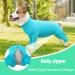 ETDANE One-Divider for Dogs | Post-Surgery Recovery Suit | Anti-Hair Loss & Anxiety Jumpsuit | Size M Blue - Buy Online on GoSupps.com