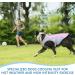 Buy Ocsoso Cool Vest for Dogs | Comfortable & Breathable Cooling Jacket for Medium & Large Dogs | Adjustable & Reflective Pink Mesh Cooling Vest - Buy Online on GoSupps.com