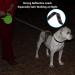 Philorn 5m Reflective Retractable Dog Leash for Medium & Large Dogs | Flexible One-Button Block | Non-Slip Handle | Up to 50kg - Green - Buy Online on GoSupps.com