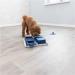 Shop Trixie Dog Toy Poker Box - Interactive Intelligence Game for Dogs | Level 2 Activity Strategy | 31x31cm | International Shipping Available - Buy Online on GoSupps.com