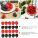 HOMSFOU 80 Pcs Simulation Raspberry Home Decor Tablescape Decor Toy's for Kids Desktop Decor Kids Decor Light House Decorations for Home Toys for Kids Kid Toy Kids Toy Fruit Cake Pvc Child - Buy Online on GoSupps.com