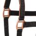 Premium Neoprene Halter for Thoroughbred & Warmblood Horses - Adjustable Black/Rose Gold | Comfortable Pasture Halter for Ponies - Buy Online on GoSupps.com
