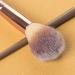 Double Head Foundation Makeup Brush Powder Coloring Tool Facial Brushes Professional Blending Liquid Oblique Concealer Beauty Multicolour - Buy Online on GoSupps.com