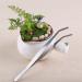 OMEM (Pack of 5) Mealworms Tweezers Worm Food Nipper for Reptiles Amphibians and Birds - Buy Online on GoSupps.com