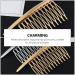 LALAFINA Hair Styling Accessories - 2pcs Metal Wire Hair Combs for Bridal Wedding Veil - Assorted Colors - 10.8X4cm - Buy Online on GoSupps.com