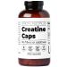 Santa Cruz Paleo Creatine Capsules, Supports Muscle Growth & Energy, Gluten Free, Keto, Sugar Free, Paleo, No Fillers or Additives, Creatine Monohydrate Pills, 2500mg, 100 Servings, 300 Capsules