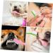 Yardwe 60 Pcs Double Head Dog Toothbrush Dog Teeth Cleaning Toothbrushes Cat Toothbrush and Toothpaste Pp - Buy Online on GoSupps.com