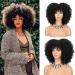 Buy Short Curly Afro Wig for Black Women - Kinked Synthetic Hair Heat-Resistant Full Wig with Ponytail in Blonde & Black - Buy Online on GoSupps.com